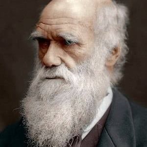 Meet your Posher, Jensen